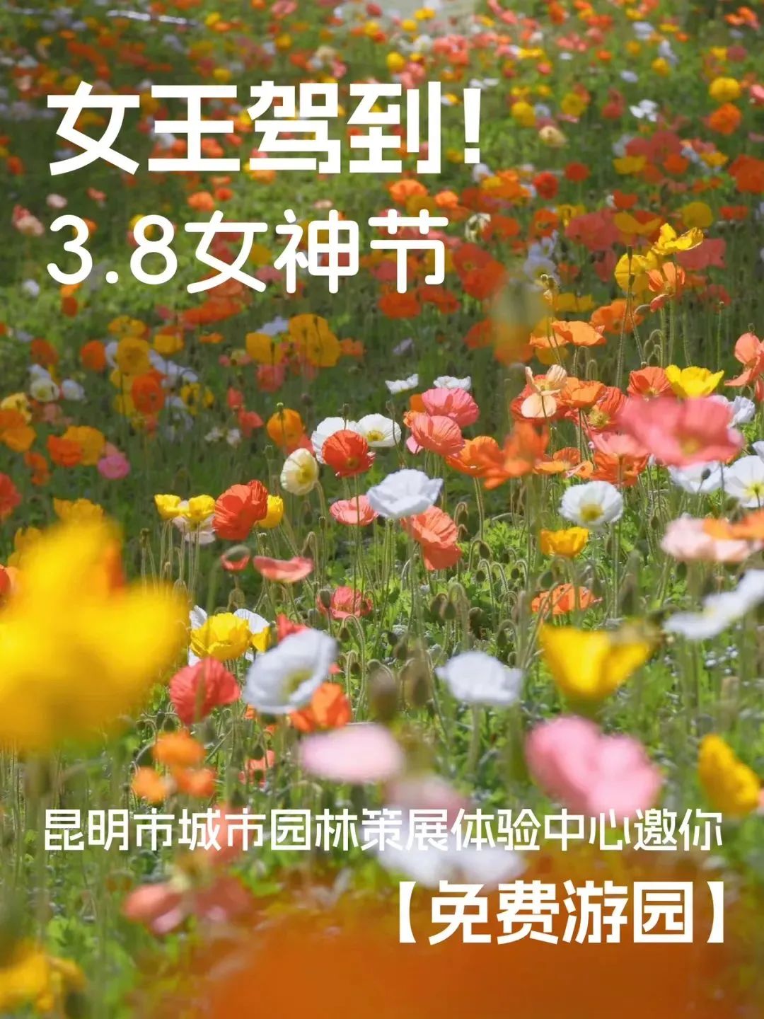 昆明信息港