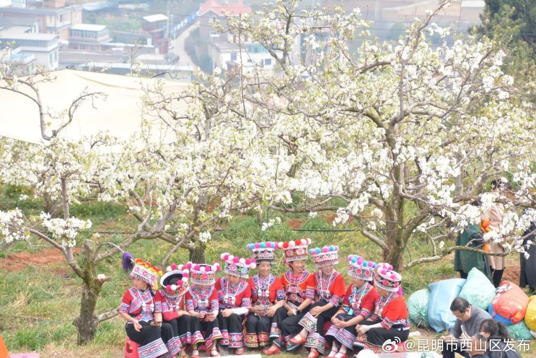 昆明市西山区发布