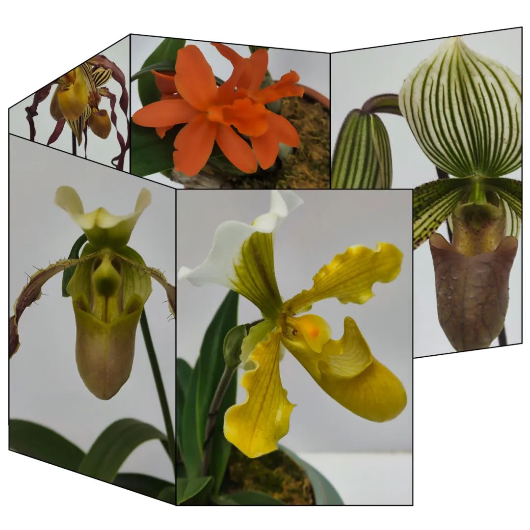 昆明市金殿名胜区