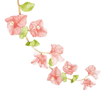 云南省中医医院