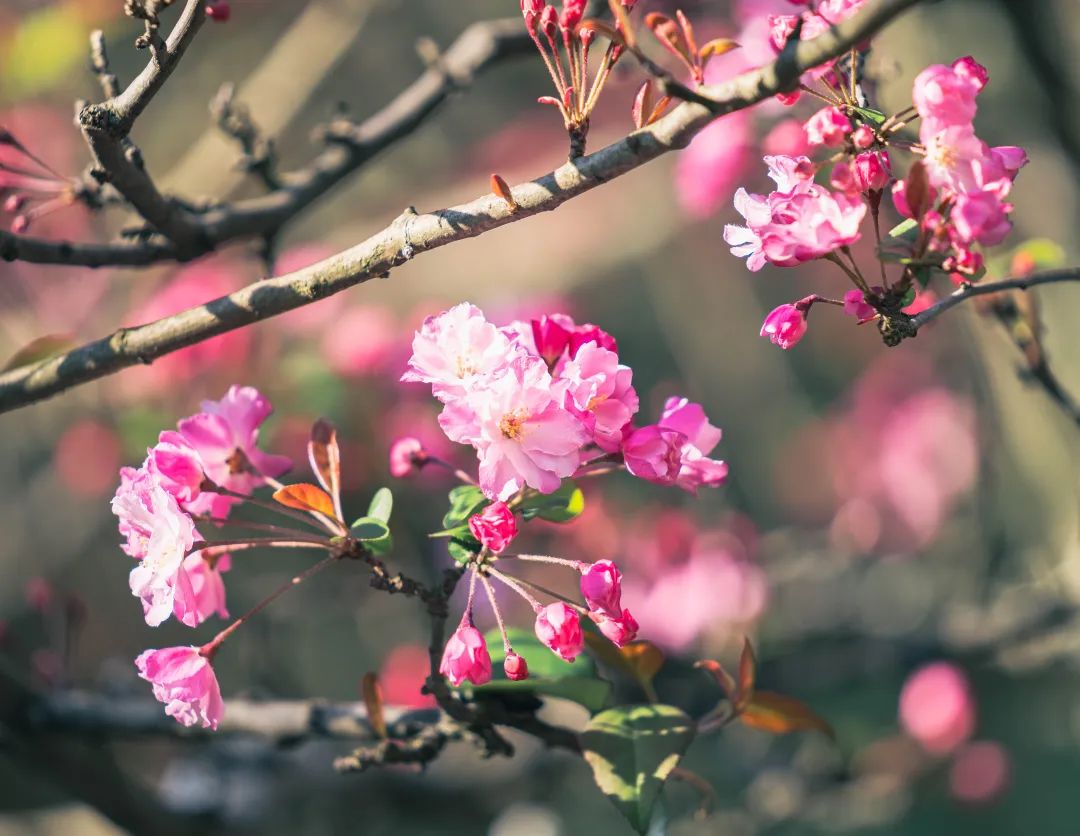 晋宁 诗意的栖居地