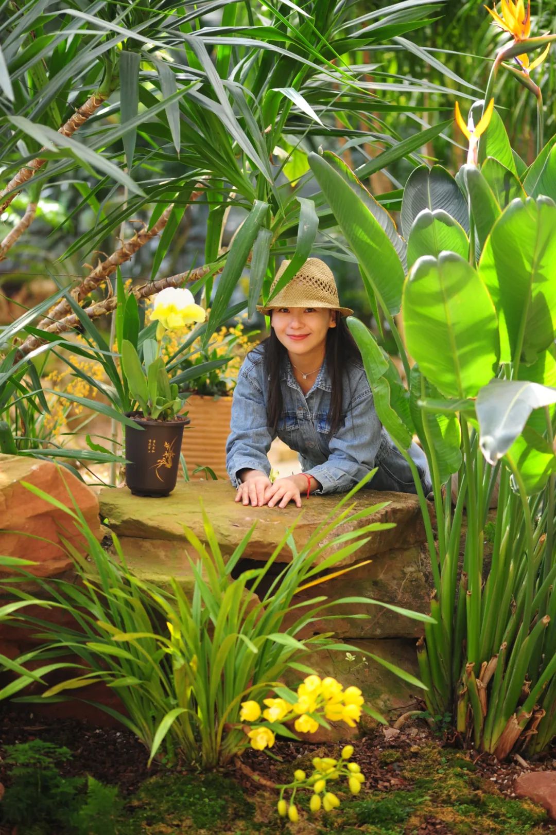 昆明市金殿名胜区