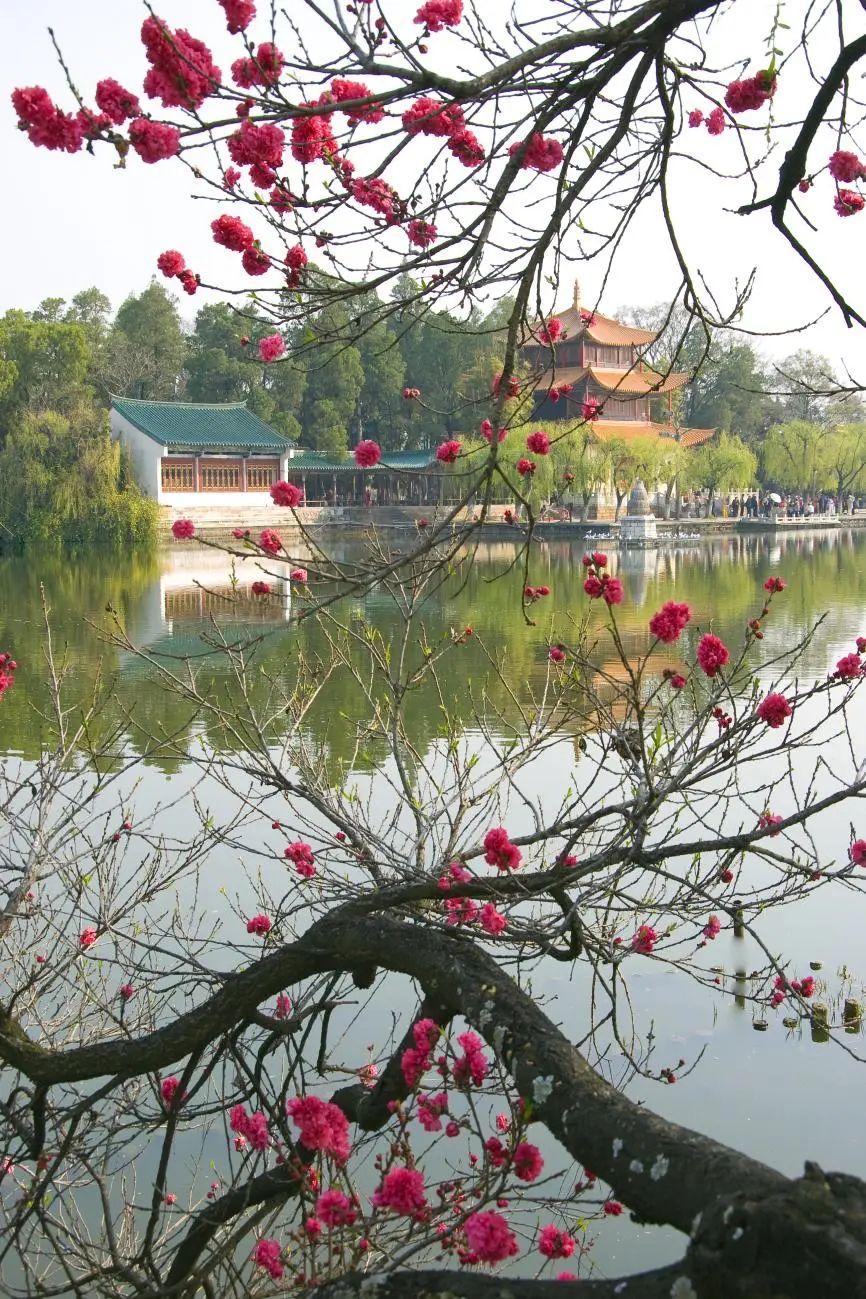 大观楼