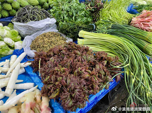 滇池旅游度假区