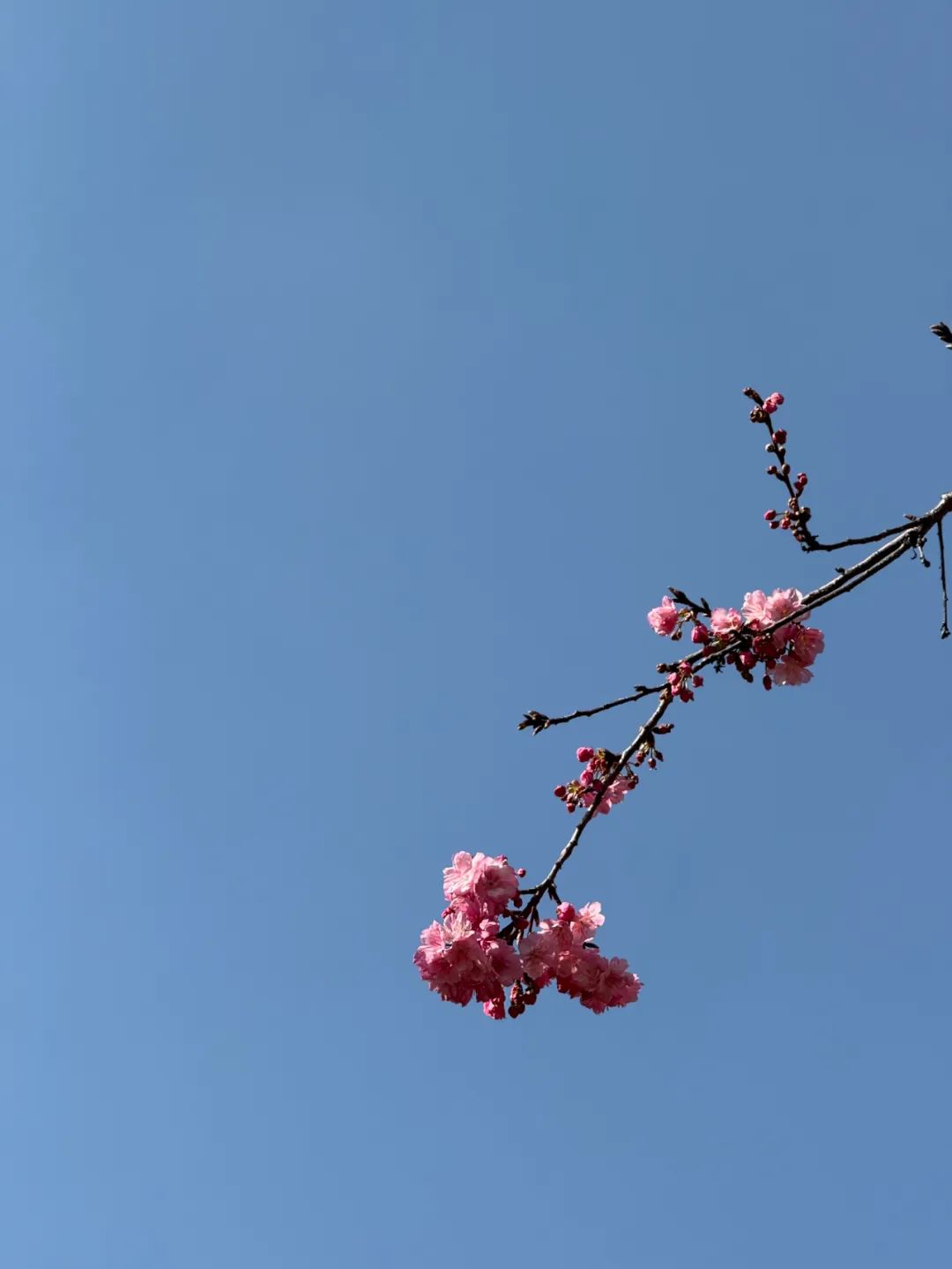 宜良之窗