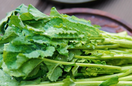 昆明市中医医院