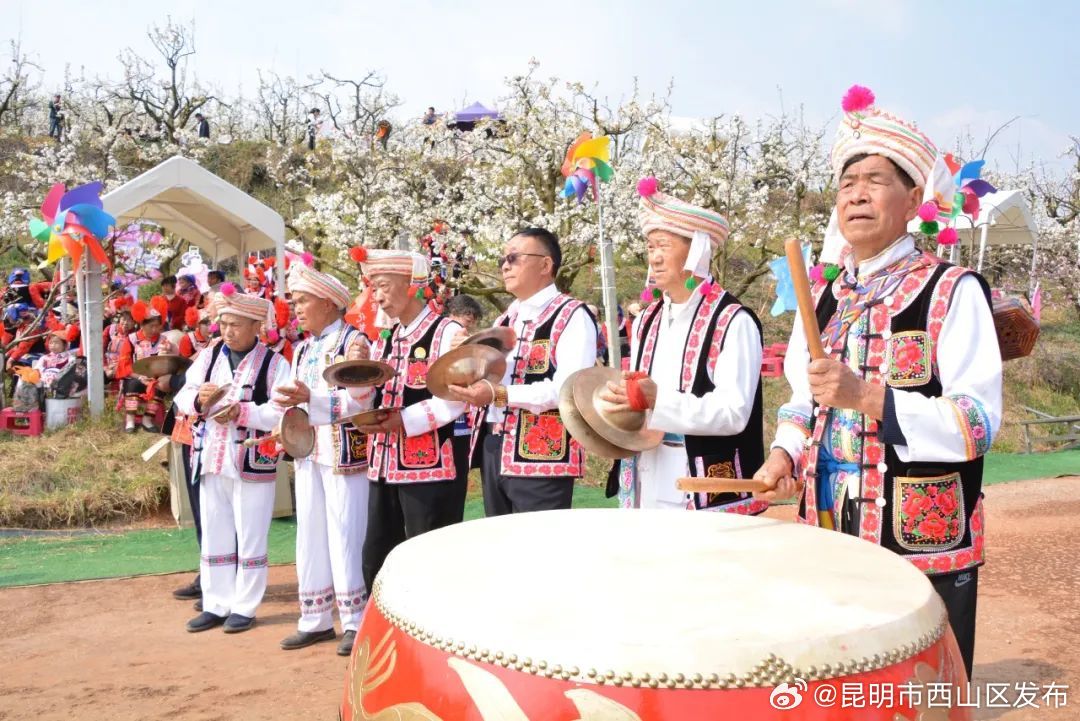 昆明市西山区发布