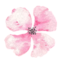 云南省中医医院