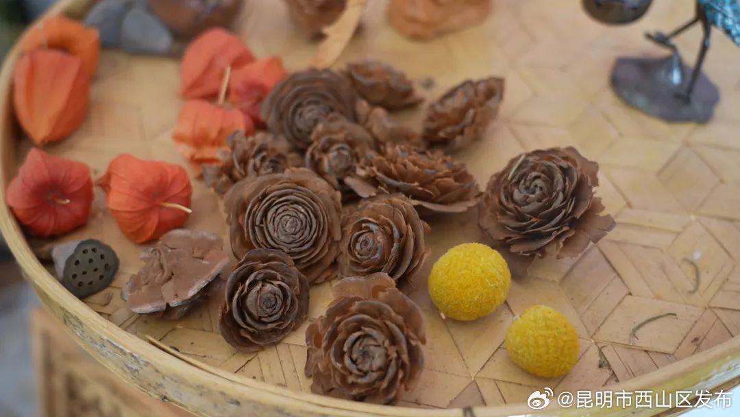 昆明市西山区发布