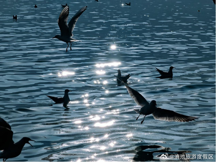 滇池旅游度假区