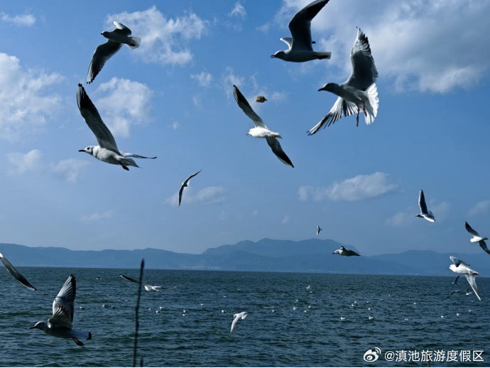 滇池旅游度假区