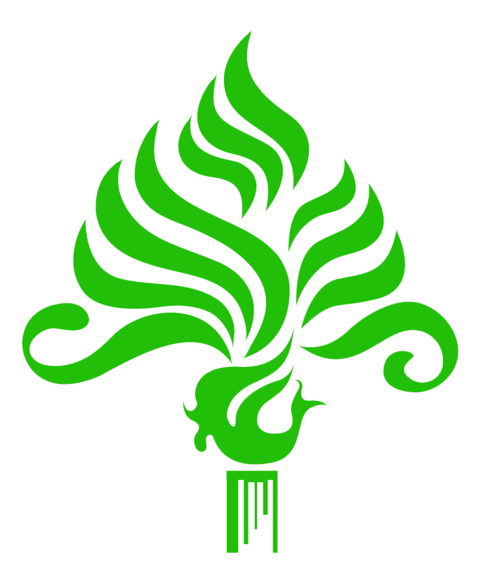 西双版纳望天树景区