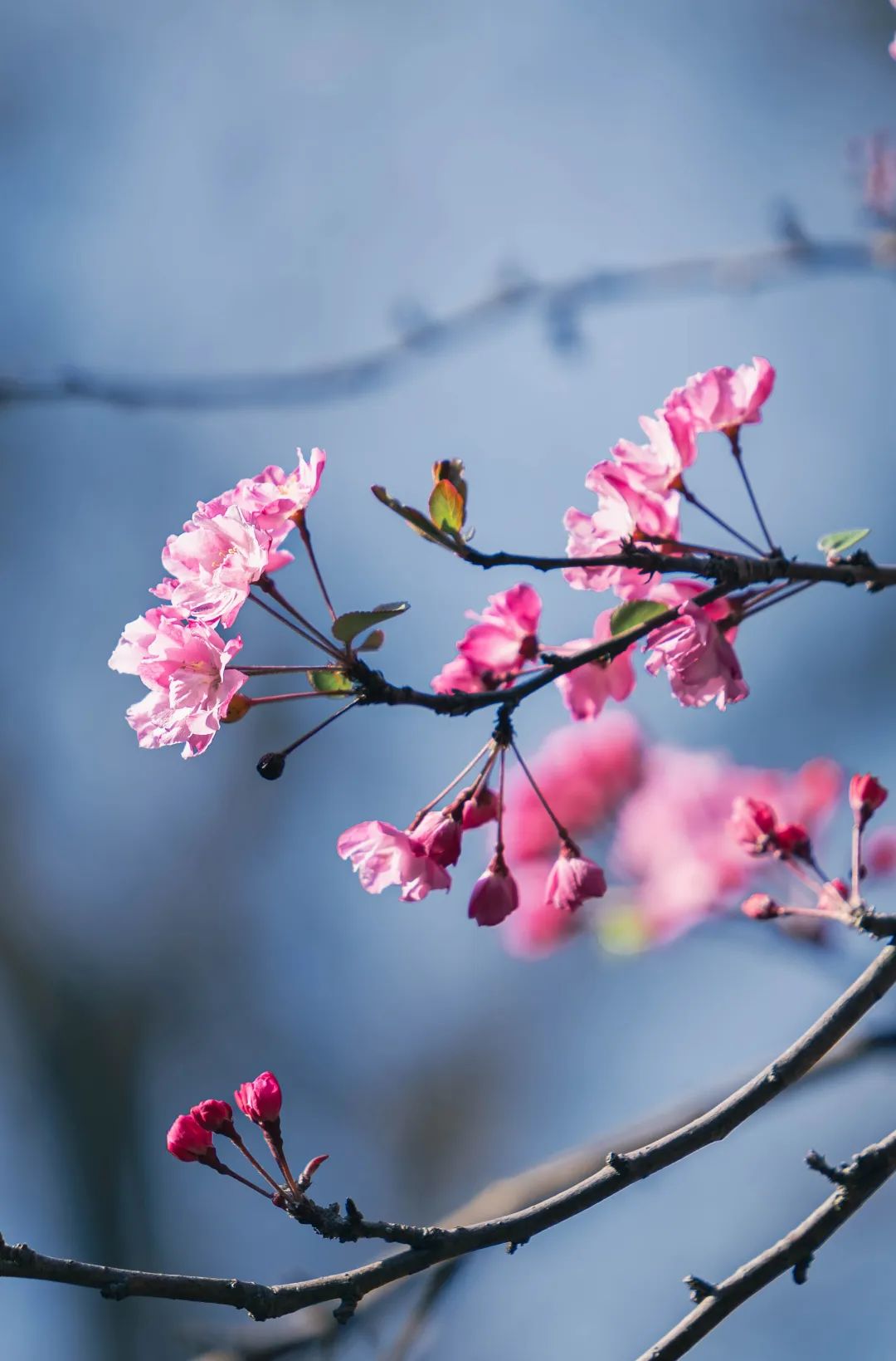 晋宁 诗意的栖居地