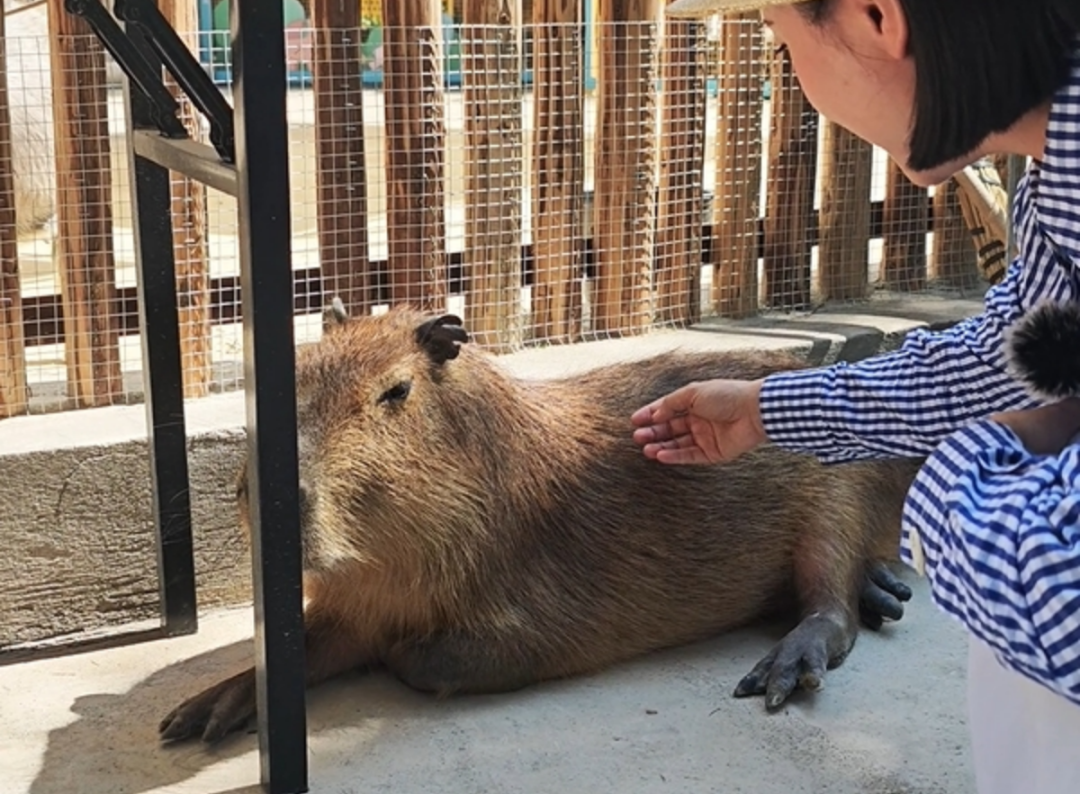 昆明文旅