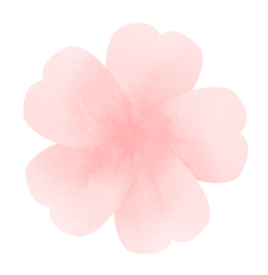 云南省招生考试院