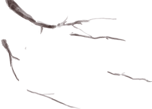 云南中医药大学第二附属医院