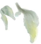 云南中医药大学第二附属医院