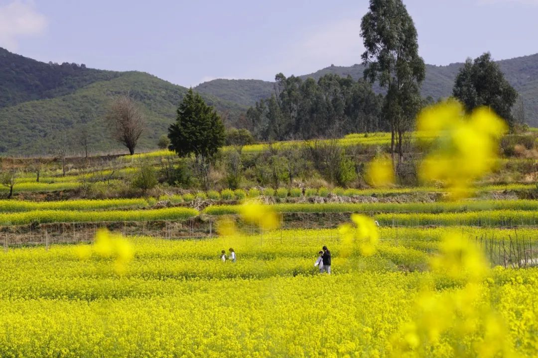 晋宁 诗意的栖居地
