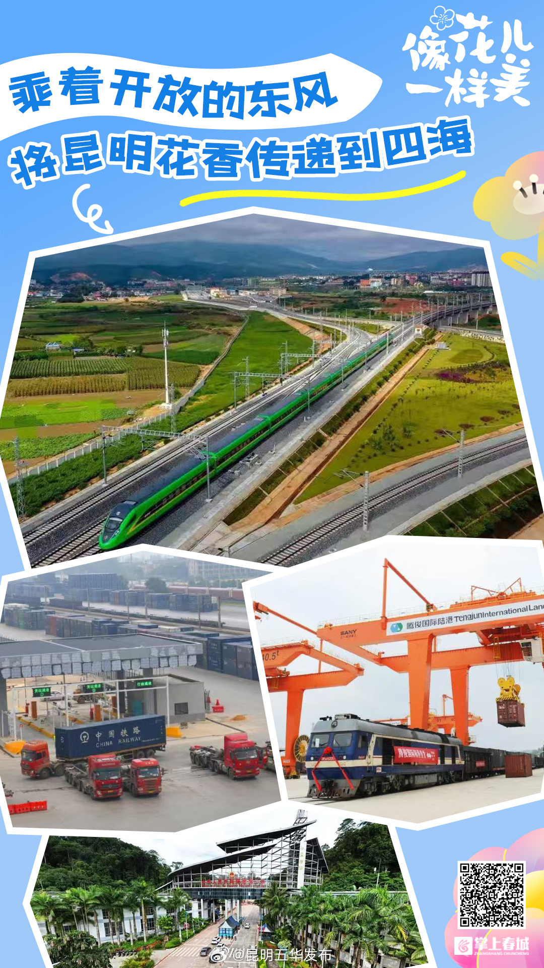 像花儿一样美丨乘着开放的东风 将昆明花香传递到四海