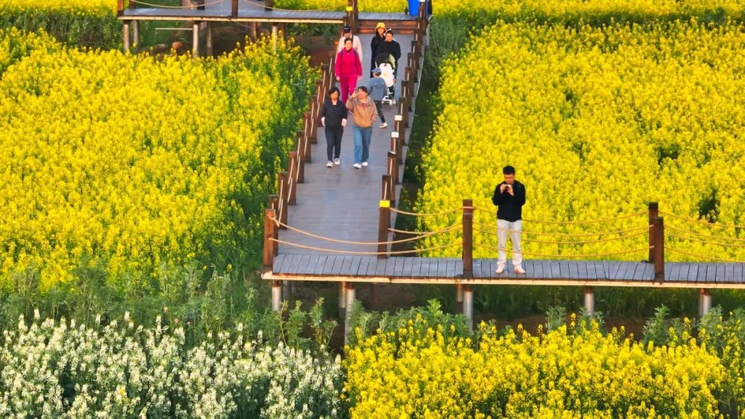 晋宁 诗意的栖居地
