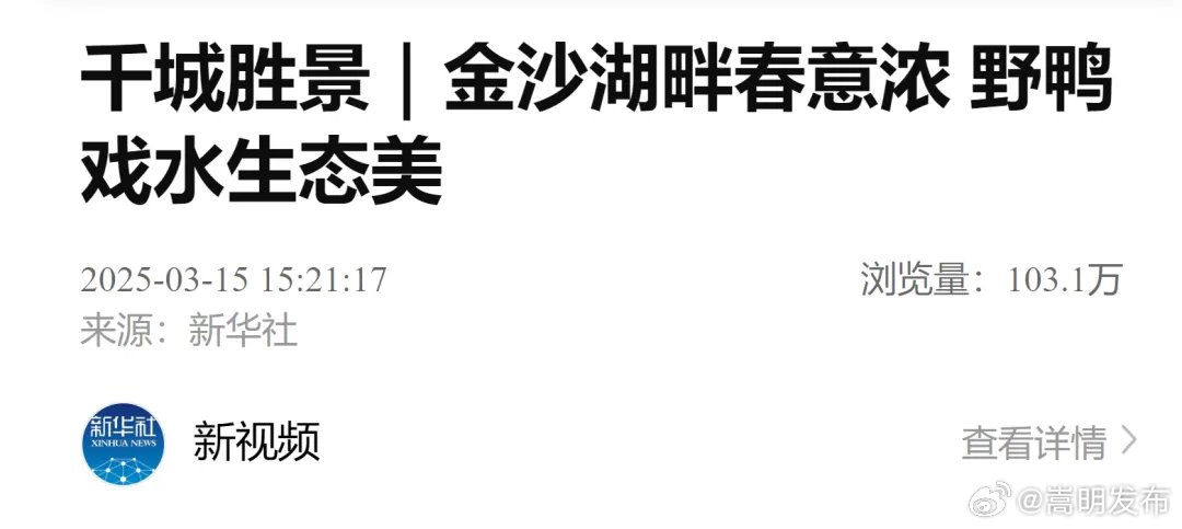 千城胜景｜金沙湖畔春意浓 野鸭戏水生态美