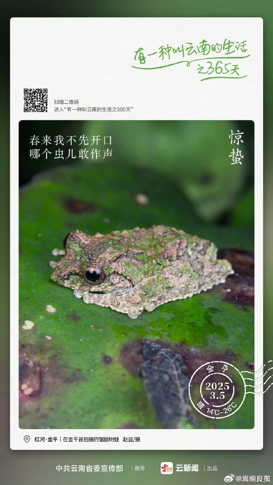 惊蛰至，万物“萌”动｜有一种叫云南的生活之365天