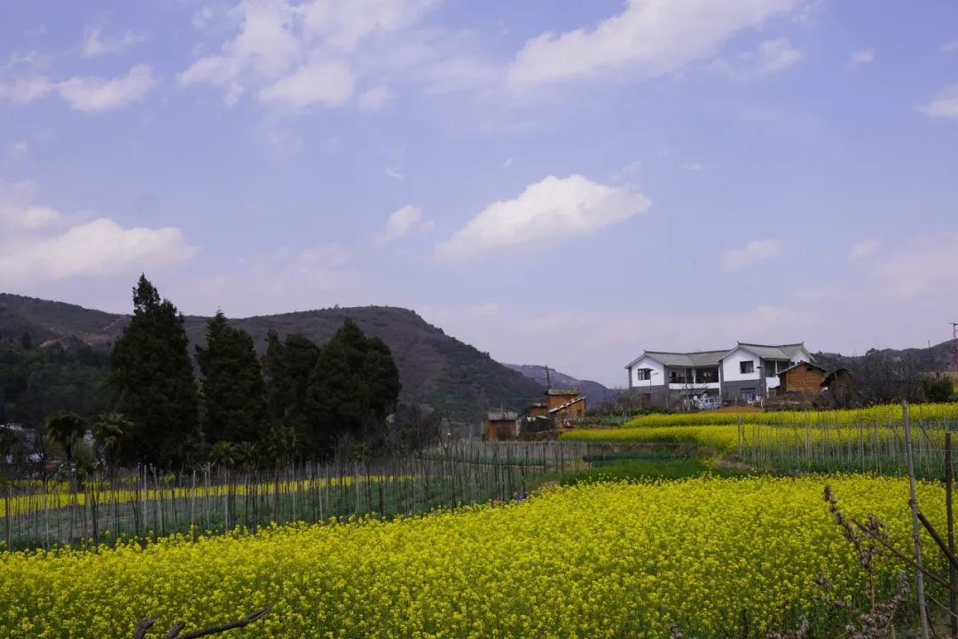 晋宁 诗意的栖居地