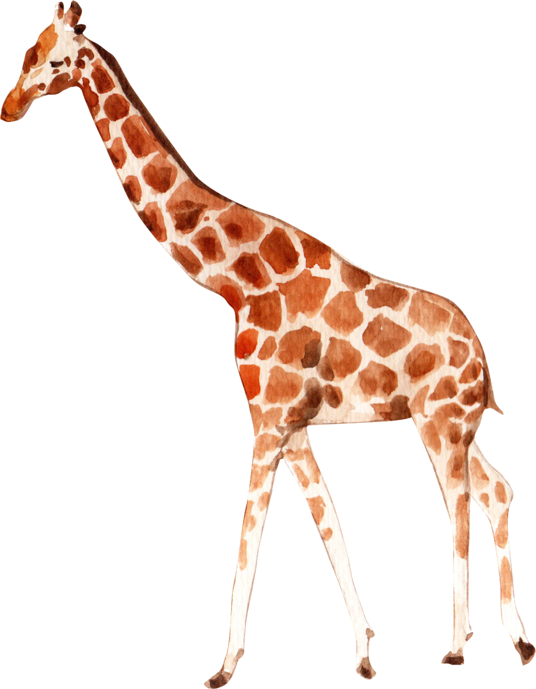 云南野生动物园