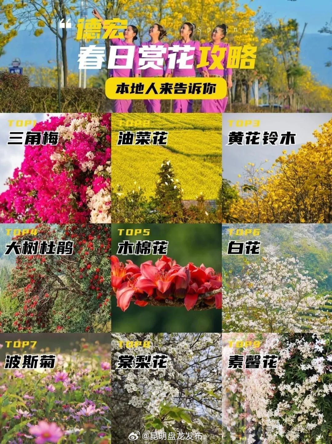 让本地人告诉你，德宏花海打卡地