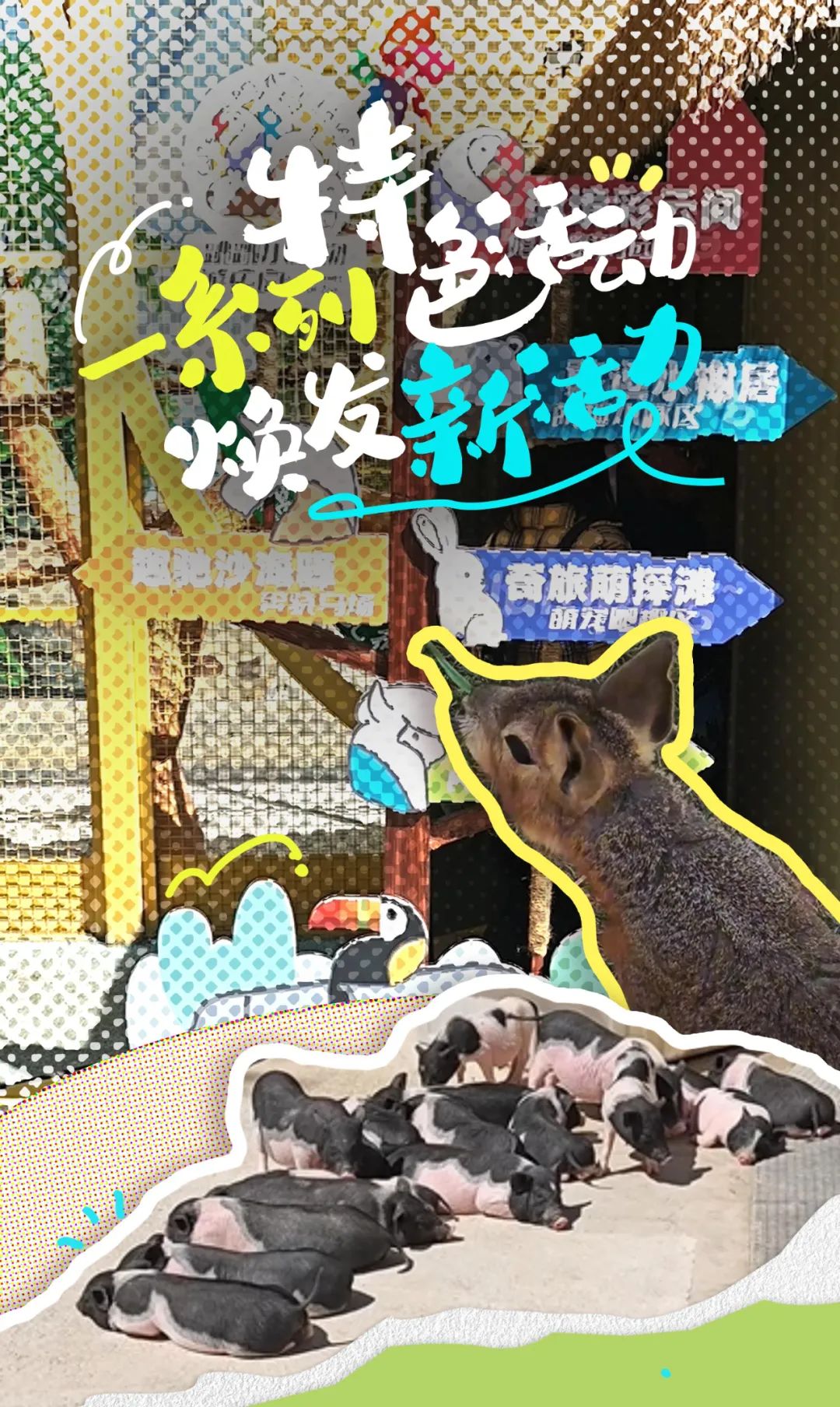 昆明文旅