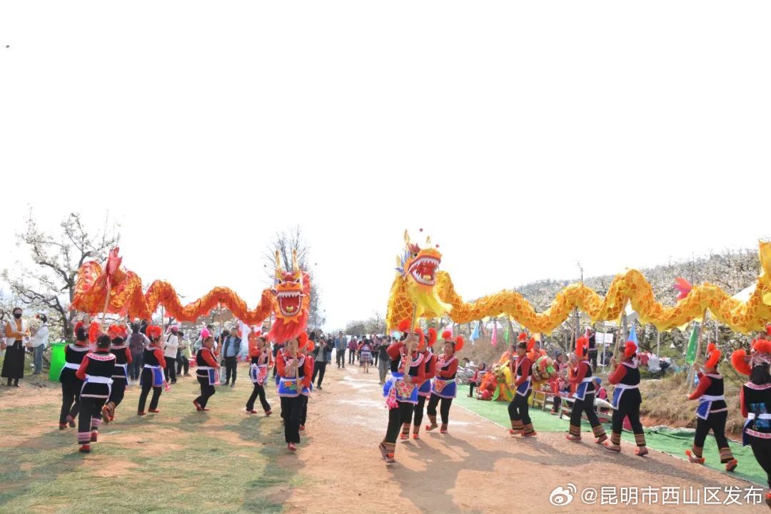 昆明市西山区发布