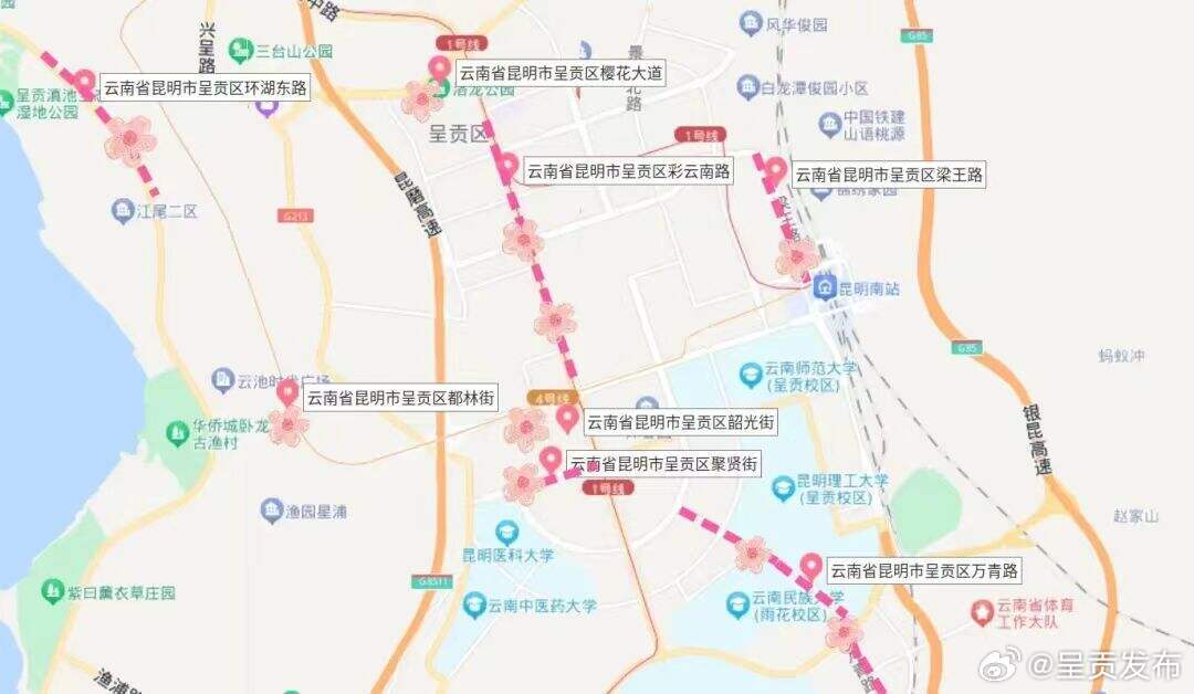 呈贡发布