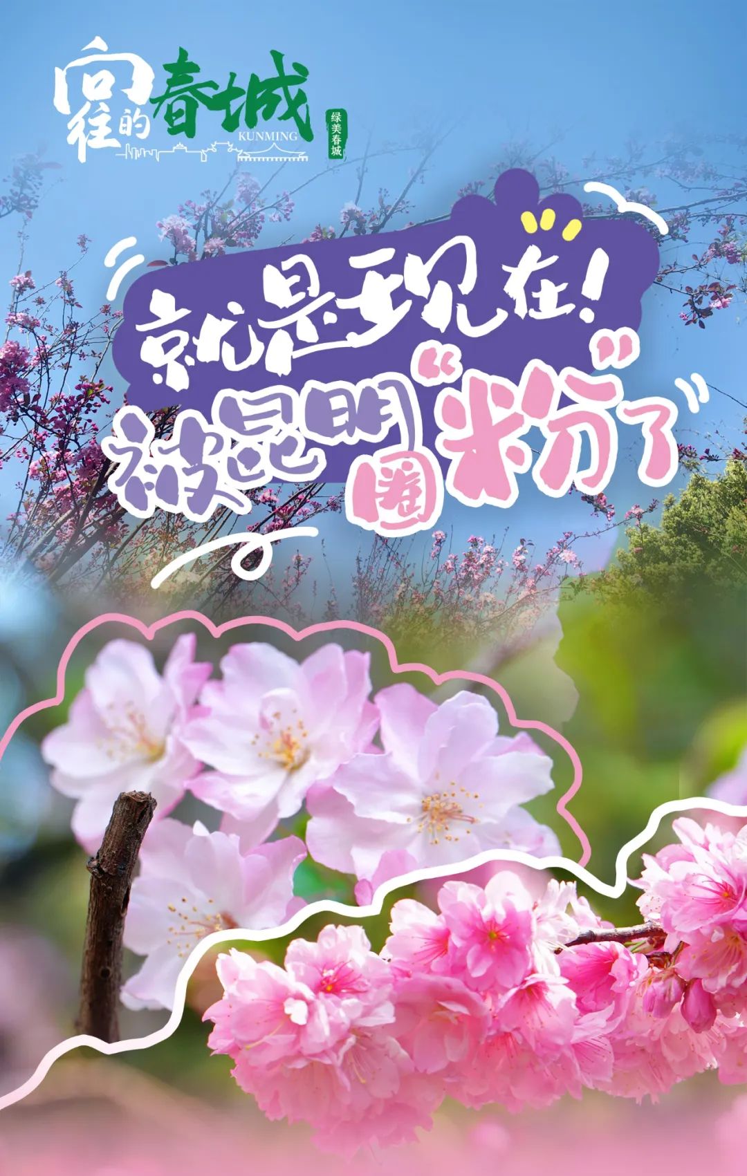 昆明文旅