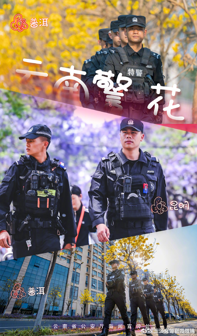 玉溪交警官方