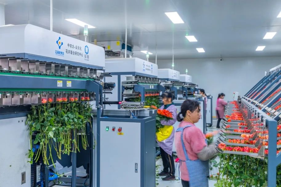 晋宁 诗意的栖居地