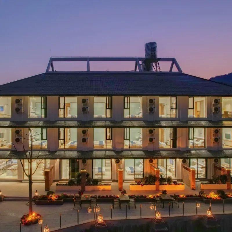 西双版纳望天树景区