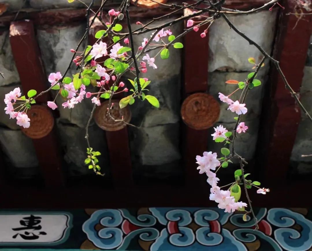 大观楼