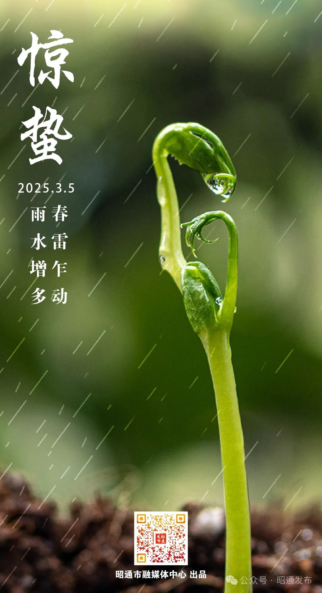 昭通日报
