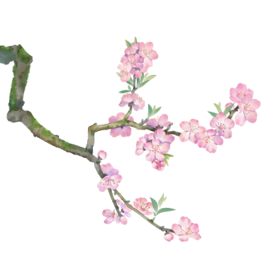 昆明市中医医院