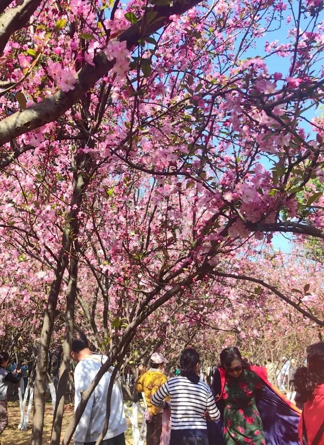 昆明文旅