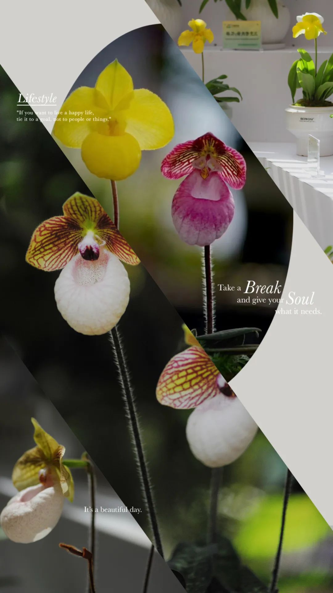 昆明市金殿名胜区