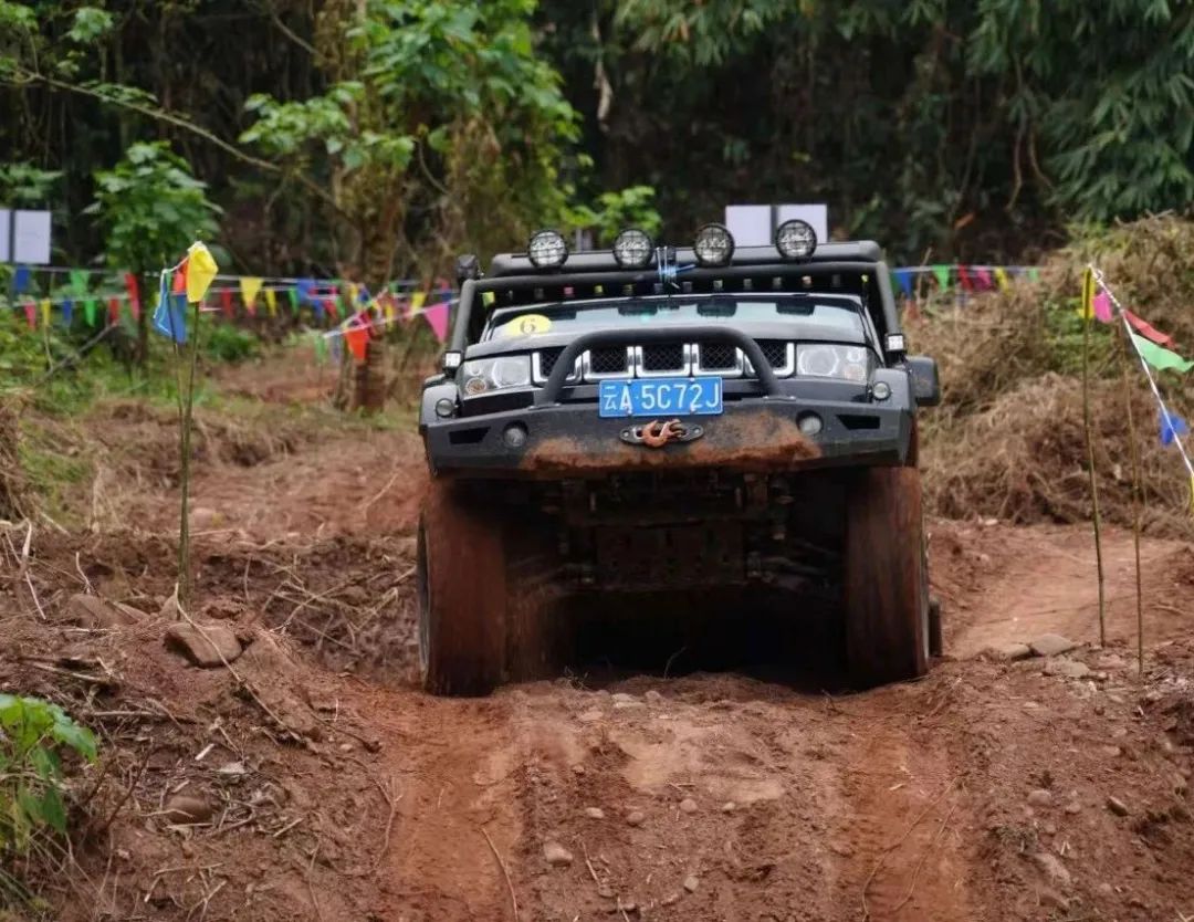 西双版纳望天树景区