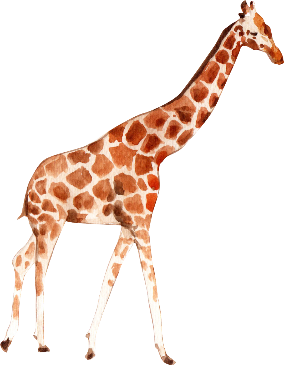 云南野生动物园