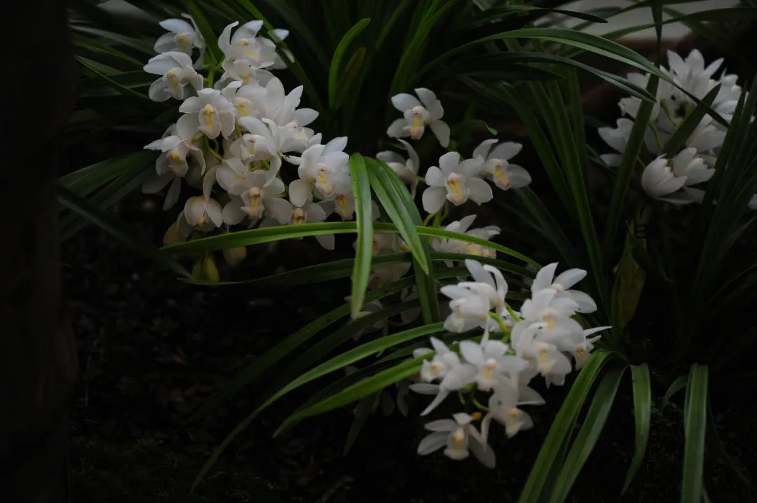 昆明市金殿名胜区