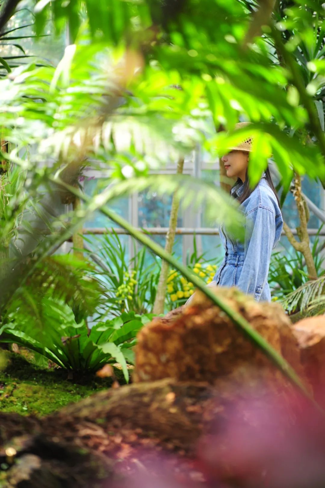 昆明市金殿名胜区