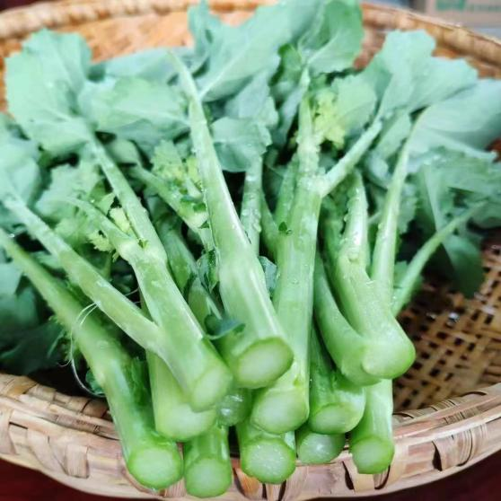 昆明市中医医院