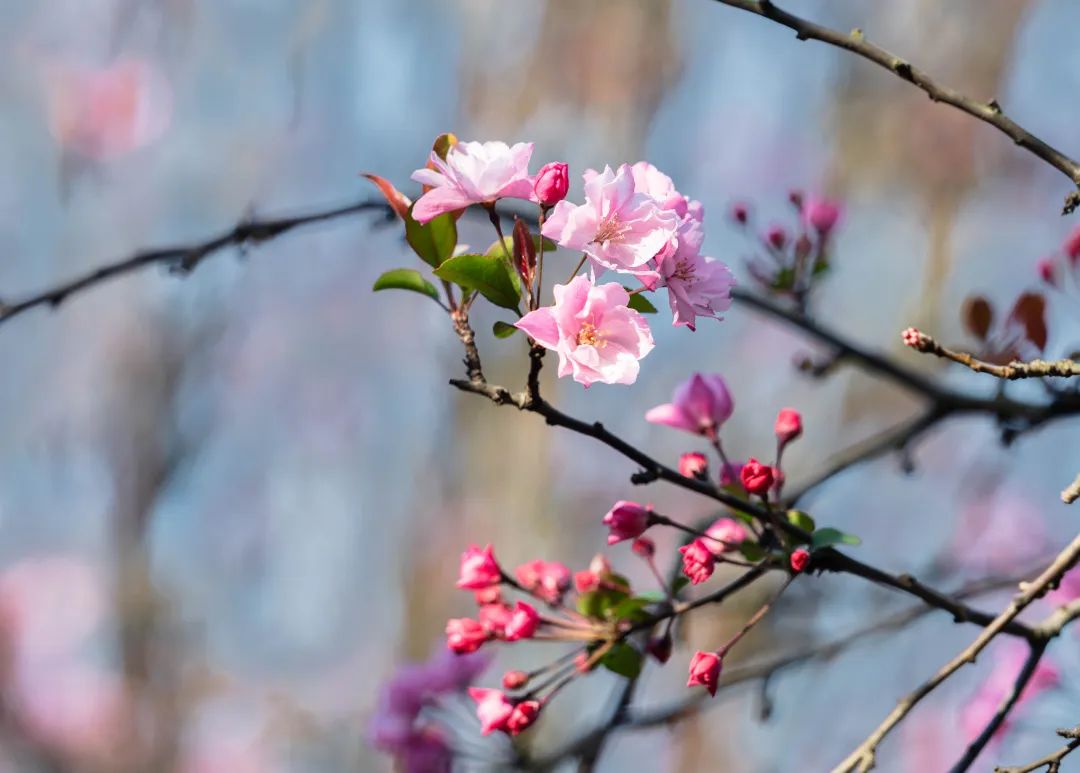 晋宁 诗意的栖居地