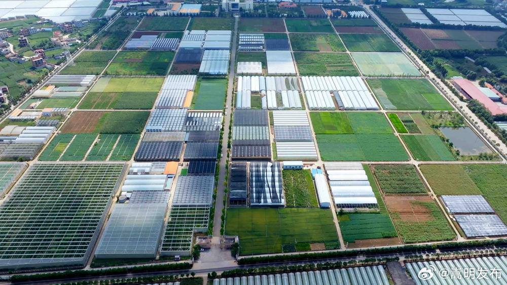 云南省全力发展农业新质生产力——强“芯”提速 沃野生金