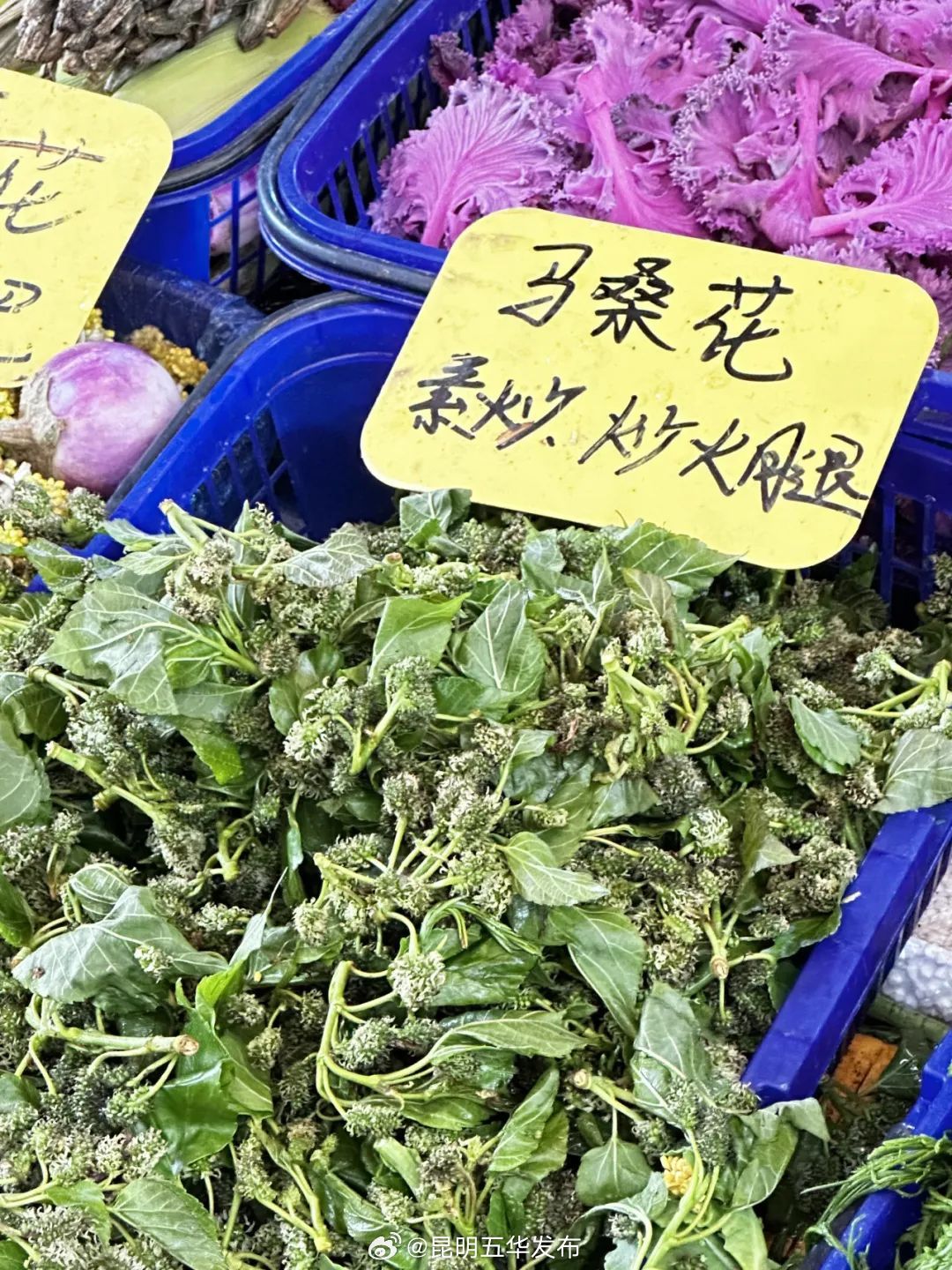 昆明五华发布