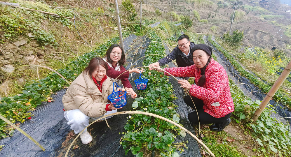 福贡先锋